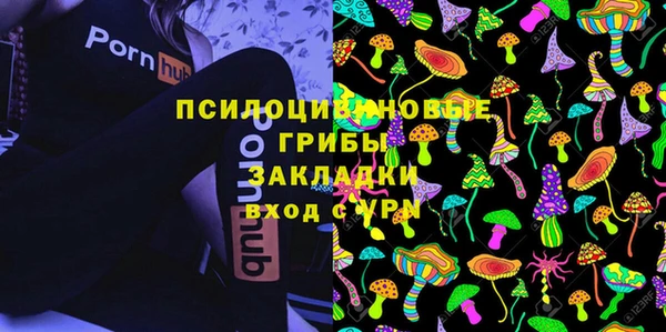 крисы Алексеевка